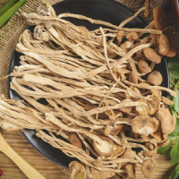 茶树菇排骨汤，具有益气开胃，健脾止泻的功效